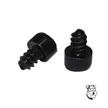 PARMA MOTOR MOUNT SCREWS - SELF TAPPING (1 PAIR)